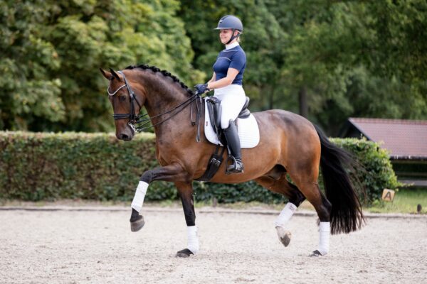 Elegant crystal rock double bridle