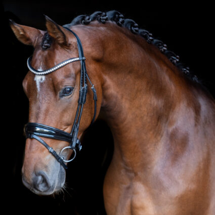 Comfort Bridle snaffle