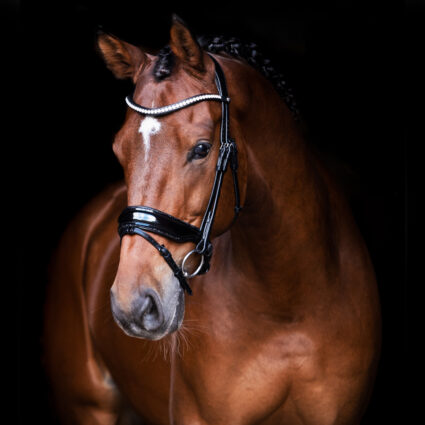 Winner Bridle snaffle