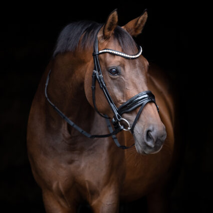 Performance snaffle