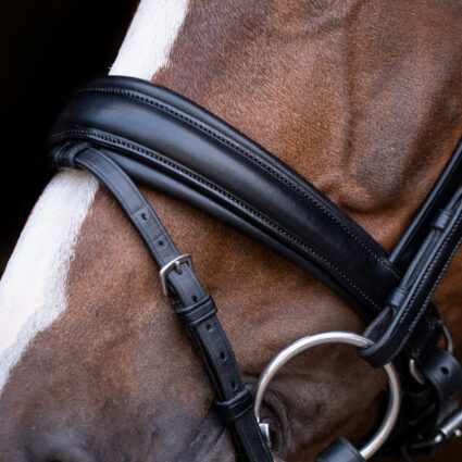 Elegant snaffle